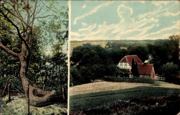 Ak Bendestorf am Kleckerwald in Niedersachsen, Landschaft mit Baum, Fachwerkhaus, Himmel mit Wolk
