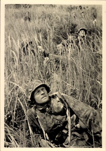 Postcard Waffen-SS, air cover in tall grass