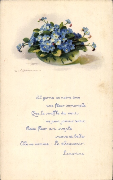 Artist Postcard Klein, C., Forget-me-not, Flowers