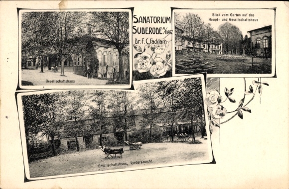 Postcard Bad Suderode Quedlinburg in the Harz, sanatorium, garden