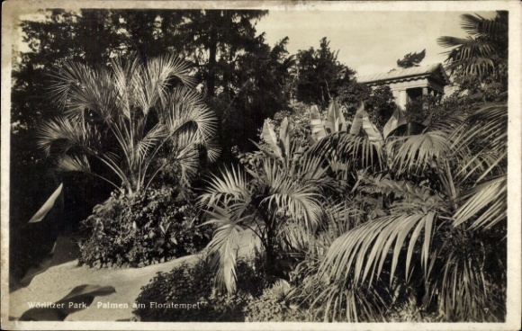 Ak Wörlitz in Anhalt, Wörlitz Park, palmbomen bij de Floratempel