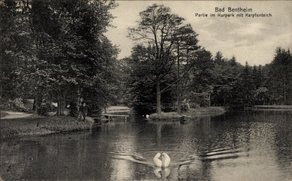 Ak Bad Bentheim in Niedersachsen, Kurpark, Karpfenteich