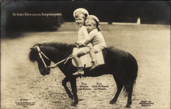 Postcard The two sons of our crown prince couple, Prince Wilhelm and Prince Louis Ferdinand