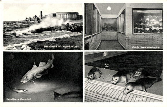 Postcard Wilhelmshaven, beach hall with aquarium, seawater pool, seals, bottom shark, cod