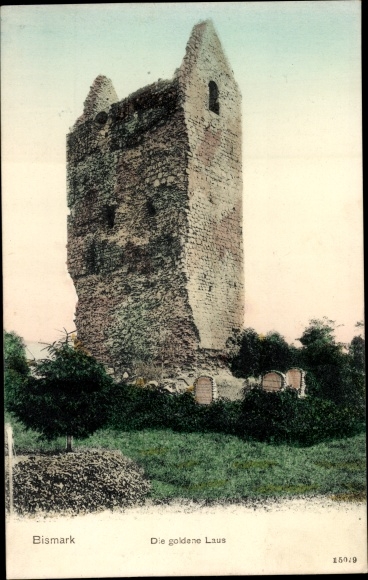 Postcard Bismark Altmark Saxony Anhalt, The golden louse, tower