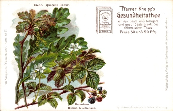 Chromo-Litho advertising, Pastor Kneipp health tea, oak, blackberry