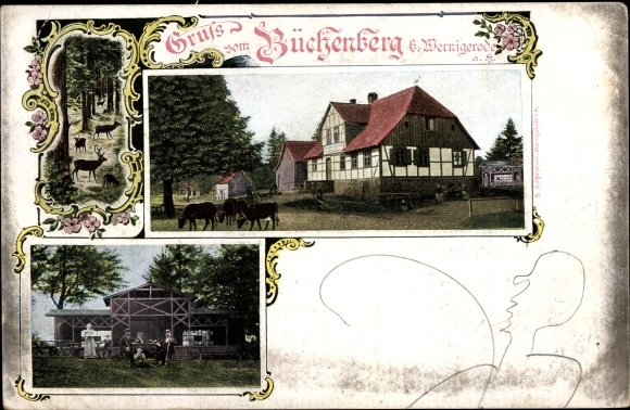 PC Elbingerode in the Harz Mountains, greetings from Büchenberg, inn