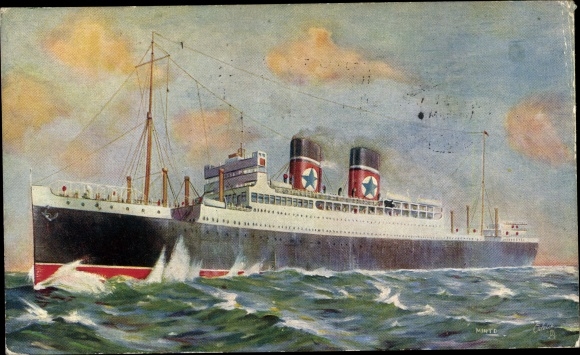 Kunstenaar Ak Dampfer TSS Andalucia Star, Blue Star Line