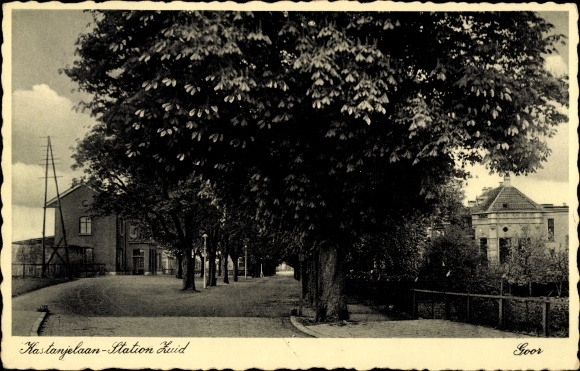 Postcard Goor Overijssel, Kastanjelaan, South Station