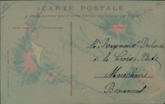 Celluloid Postcard flowers, souvenir, kitsch