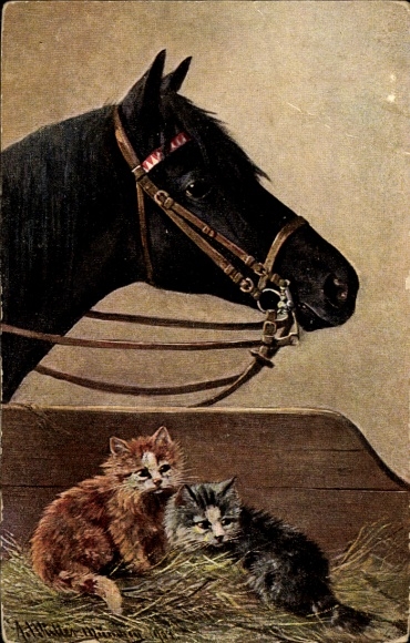Artist Postcard Müller, August, kittens in the stable, black horse,
