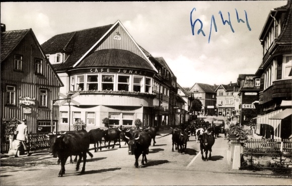 Postcard Braunlage in the Upper Harz, ladies&#39; chapel, herd of cattle in town
