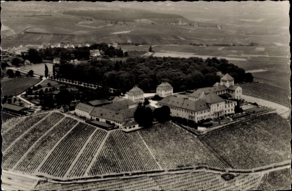 Ak Erbach im Rheingau Eltville am Rhein Hessen, Luftaufnahme Weingut Schloss Johannisberg, Weinbe