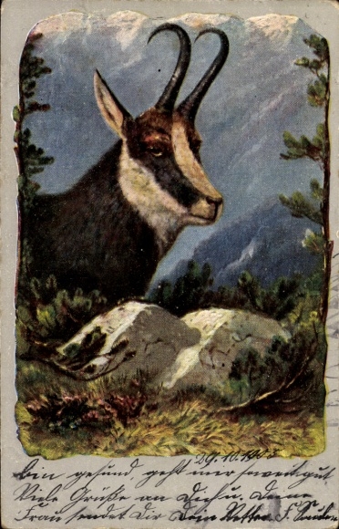 Künstler Ak Portrait vom Bock