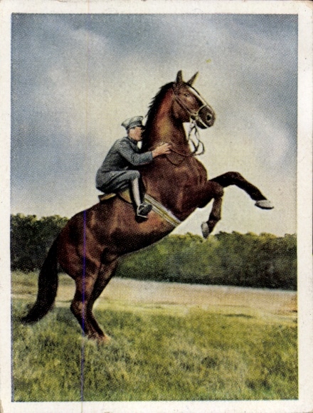 Sammelbild Auf deutscher Scholle, Hans v. d. Nordmark, Bild Nr. 89, Hohe Schule, Pferd, Reiter