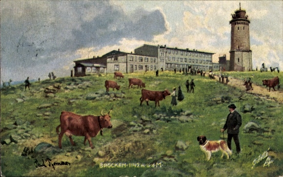 Brocken in the Harz Mountains, landscape with cows, Brocken Hotel, lighthouse, hikers
