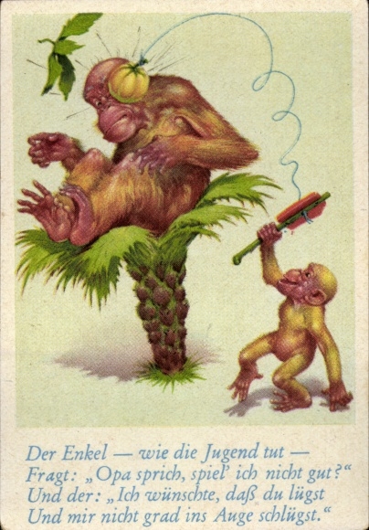 Collector's picture funny pictures No. 17, orangutan on a palm tree