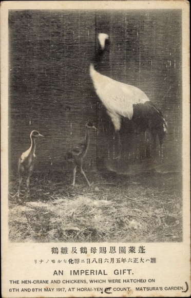 Postcard Japan, Imperial Gift, Crane Hen with Chicks, Horai-Yen