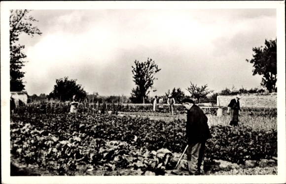 Postcard Rambouillet Yvelines, Le Refuge des Cheminois, Le Potager