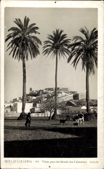 Ak Ibiza Balearische Inseln, Palmen, Stadtansicht,  Gebäude, Kühe, Spaziergänger