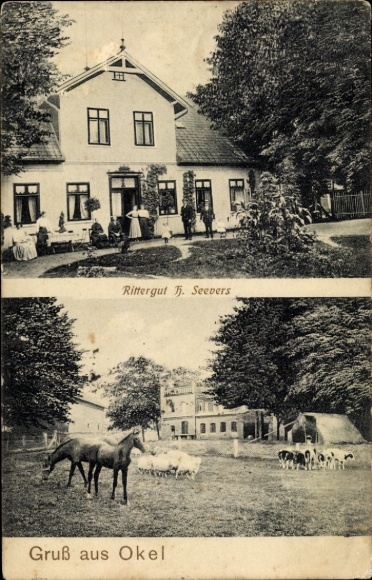 KP Okel Syke w Dolnej Saksonii, dwór H. Seevers, konie