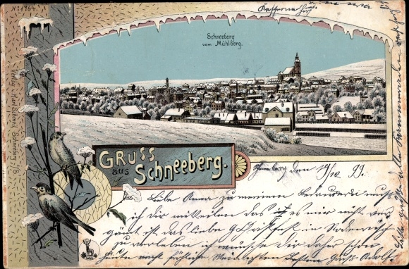 Winter Chromo-Litho Schneeberg in the Ore Mountains, total view from Mühlberg, birds