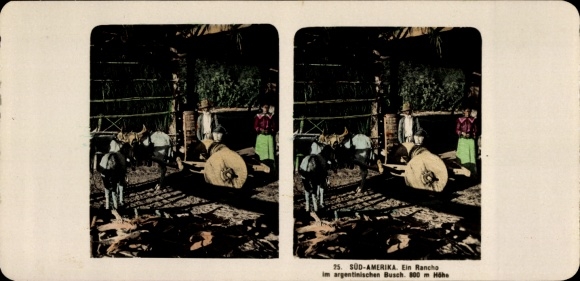 Stereo Photo Argentina, A rancho in the Argentine bush
