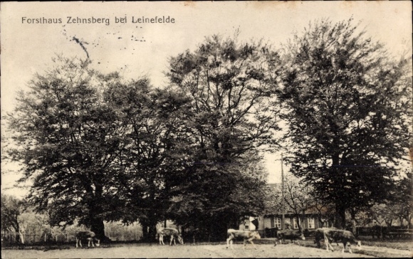 Ak Leinefelde im Eichsfeld Thüringen, Forsthaus Zehnsberg