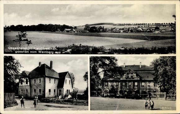 Ak Dreistern Kleinförstchen Göda in Oberlausitz, algemeen beeld van het kasteel