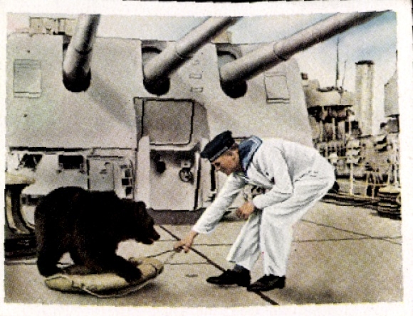 Collector's picture The German Wehrmacht No. 201, a comrade from a distant land, sailor with a bear