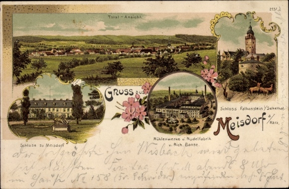 litho Meisdorf Falkenstein in de Harz, kasteel Falkenstein, molenfabriek, pastafabriek