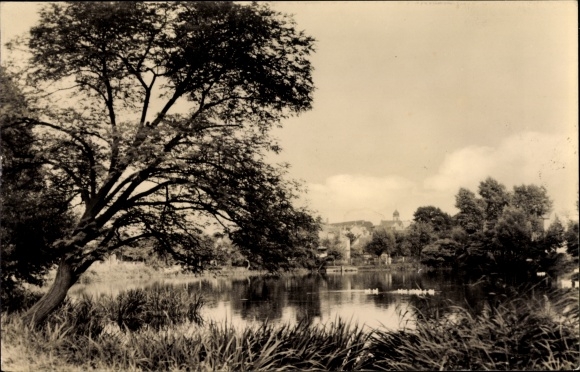 Postcard Pölzig in Thuringia, village pond
