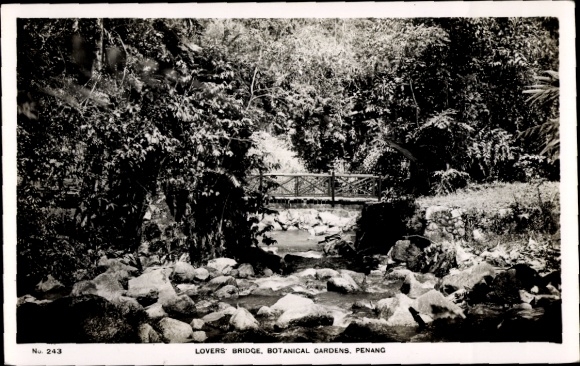 Ak Penang Malaysia, Lovers Bridge, Botanische Gärten,  Brücke, Natur, Schwarz-Weiß