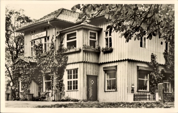 Ak Netzkater Ilfeld am Harz Thüringen, Holzhaus, Detelater, Fotografie, Pflanzen, Fenster, Prakti