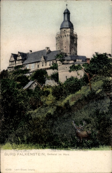 Ak Pansfelde Falkenstein im Harz, Kasteel Falkenstein, Selketal