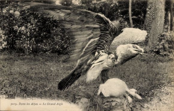 Postcard Dans les Alpes, Le Grand Aigle