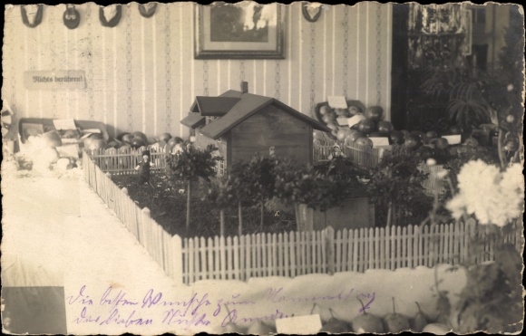 Photo Postcard house model with garden, apples, antlers on the wall