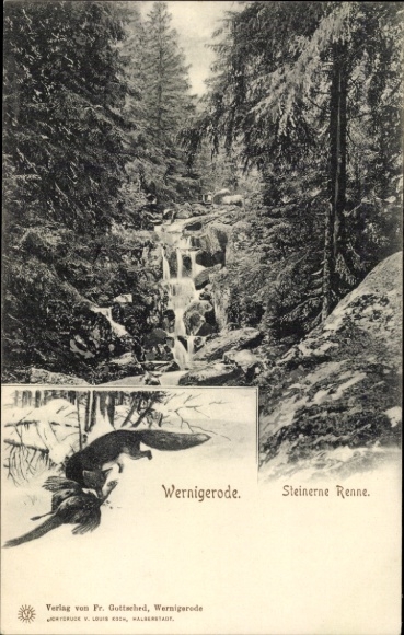 Ak Hasserode Wernigerode am Harz, Steinerne Renne