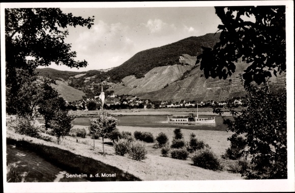 PC Sennheim an der Mosel, panorama with the Mosel, Mosel steamer