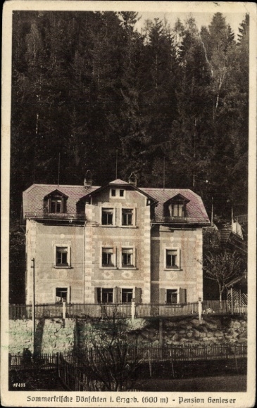 Postcard Dönschten Dippoldiswalde Osterzgebirge, Pension Genieser