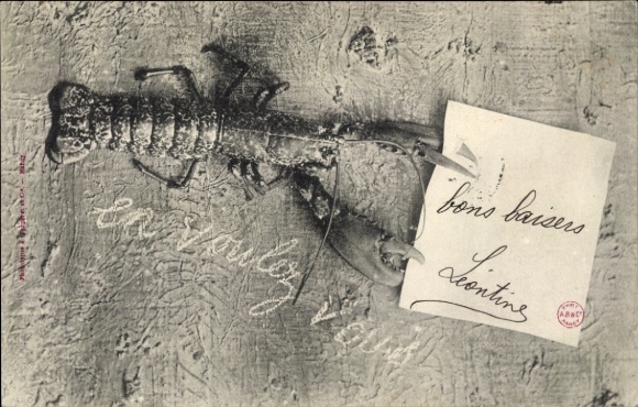Postcard animal, lobster