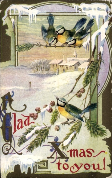 Embossed PC Merry Christmas, tits, birds on fir branch