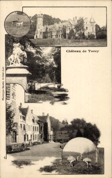 Ak Torcy Seine et Marne, Schloss, Pfauen, Wild