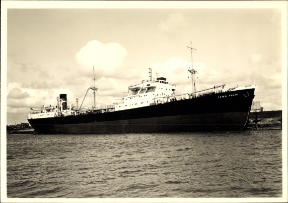 Ak vrachtschip Tema Palm, Palm Line