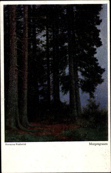 Artist Postcard Rüdisühli, H., Dawn, Forest, Trees