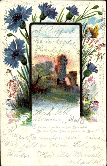 Chromo-Litho castle ruins, cornflowers, butterfly