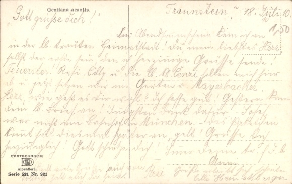 KP Traunstein w Górnej Bawarii, goryczka, wieczorne słońce, lipiec 1910 r.