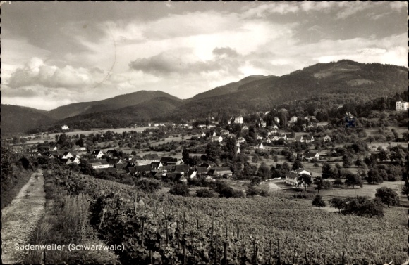 Ak Badenweiler im Schwarzwald,  Schwarzwald, Landschaft, Weinberge, 