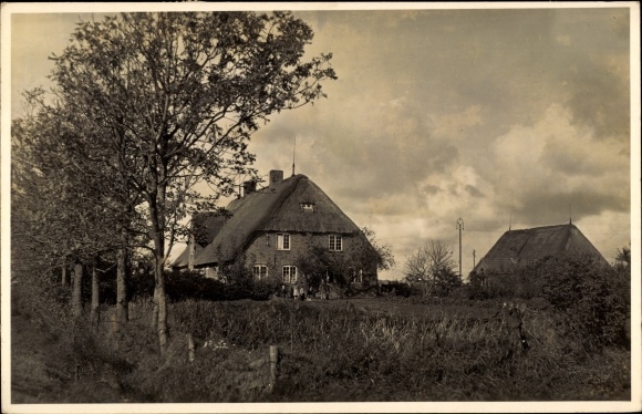 Photo Postcard Niebüll in North Friesland, Frisian houses
