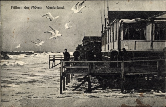 Postcard Westerland on Sylt, feeding the seagulls